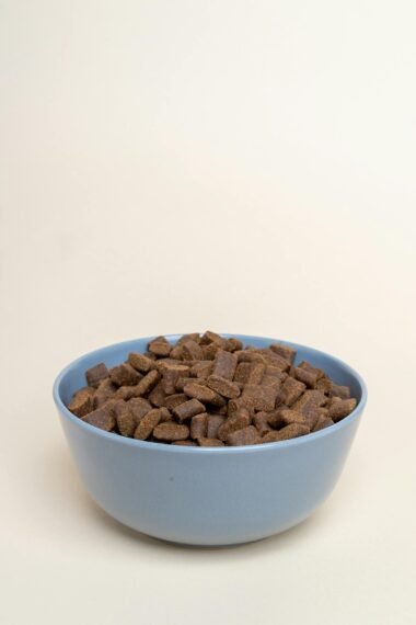 Alimentação