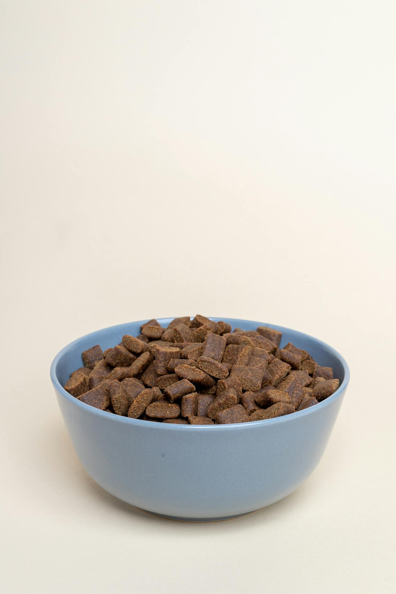 Studio shot of a blue bowl filled with brown pet food pellets against a neutral white background.